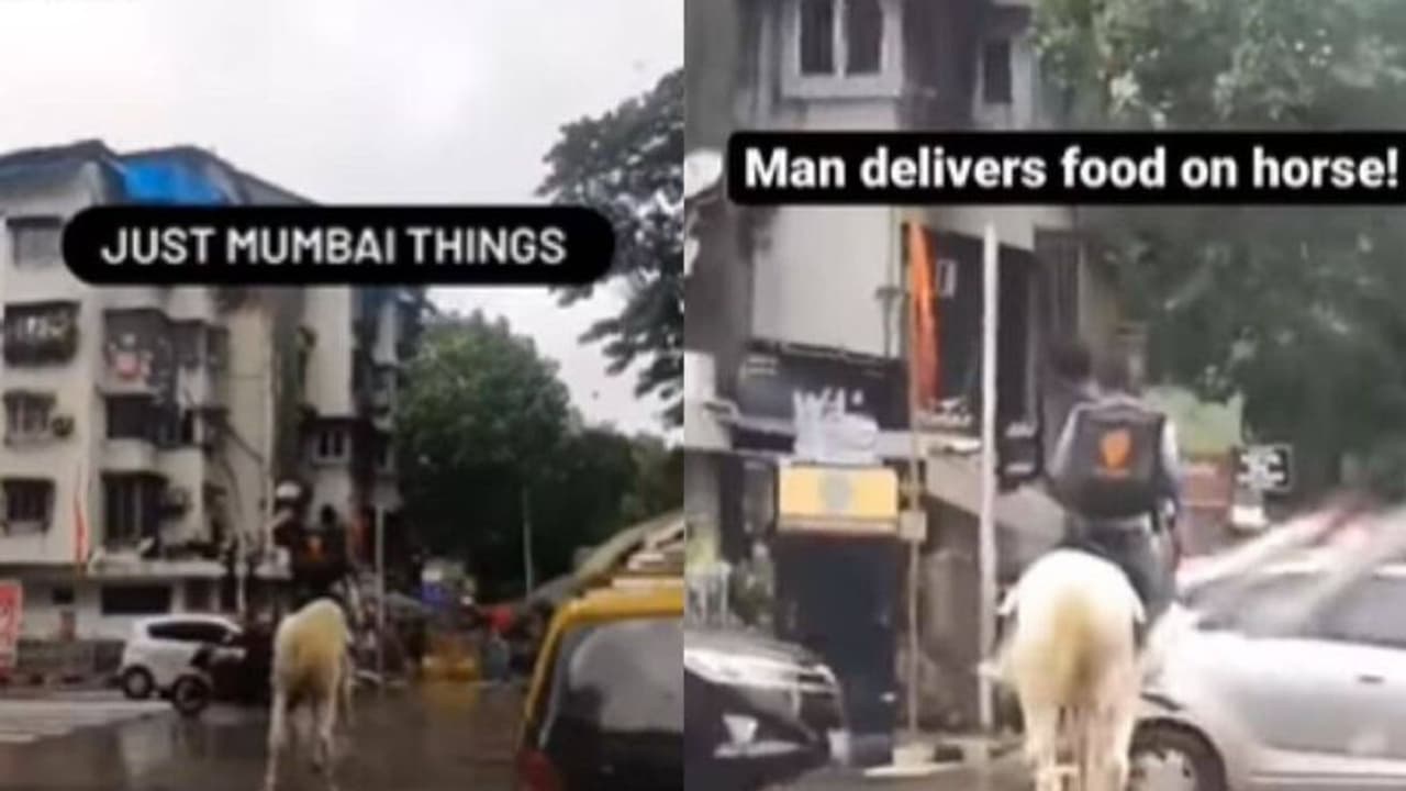 ಕುದುರೆ ಏರಿ ಬಂದ... ಸಿನಿಮಾ ಸ್ಟೈಲ್‌ಲ್ಲಿ ಫುಡ್ ಡೆಲಿವರಿ ಮಾಡಿದ ಸ್ವಿಗ್ಗಿ ಬಾಯ್: ವಿಡಿಯೋ ವೈರಲ್