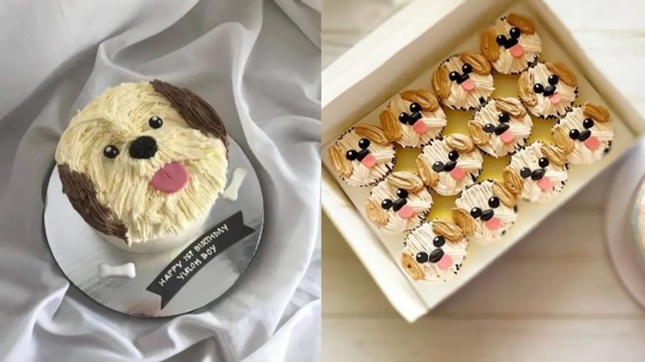 কৃমি হওয়ার ভয়ে পোষ্যকে কেক খাওয়াতে পারেন না? আর চিন্তা নেই, এখানে রইলো বিশেষ কেকের সন্ধান