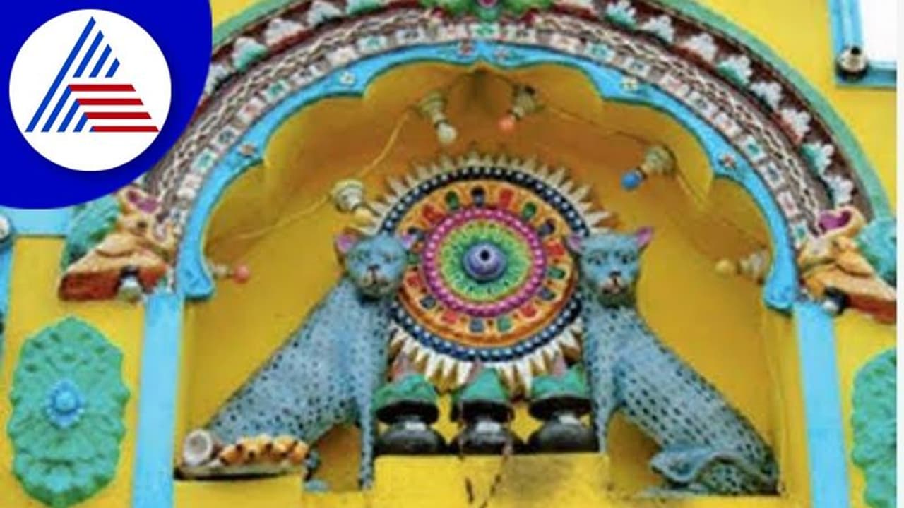 ಮಾರ್ಜಾಲದ ಮಹಿಮೆ: ಬೆಕ್ಕೇ ಈ ಊರ ಗ್ರಾಮ ದೇವತೆ, ಗದ್ದುಗೆ ನಿರ್ಮಿಸಿ ಗ್ರಾಮಸ್ಥರ ಪೂಜೆ