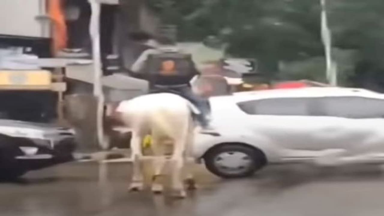 डिलीवरी मैन का सड़क पर धांसू अंदाज कर रहा हैरान, यूजर्स बोले रूको मत, बस.. दौड़ाए जाओ 