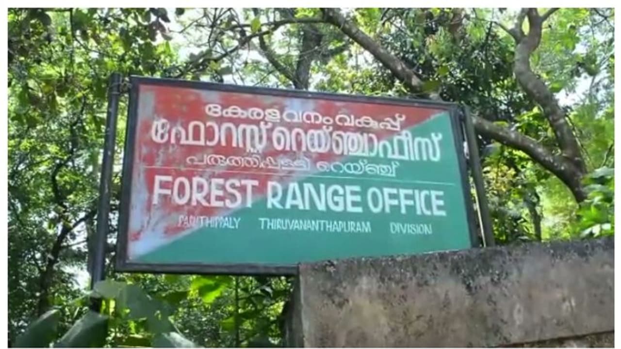 'കള്ളക്കേസില് കുടുക്കുന്നു'; കാട്ടിറച്ചിയുമായി ആദിവാസി യുവാവിനെ അറസ്റ്റ് ചെയ്ത വനംവകുപ്പിനെതിരെ പ്രതിഷേധം 'കള്ളക്കേസില് കുടുക്കുന്നു'; കാട്ടിറച്ചിയുമായി ആദിവാസി യുവാവിനെ അറസ്റ്റ് ചെയ്ത വനംവകുപ്പിനെതിരെ പ്രതിഷേധം