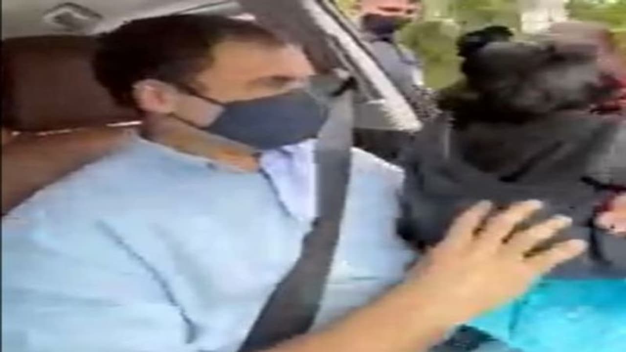 राहुल गांधी का बच्ची के साथ वायरल हो रहा वीडियो, जानिए लोग क्या बोल रहे राहुल गांधी का बच्ची के साथ वायरल हो रहा वीडियो, जानिए लोग क्या बोल रहे