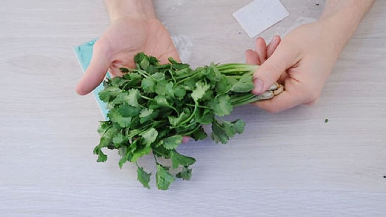 ಕರ್ನಾಟಕದ ಕೊತ್ತಂಬರಿಗೆ ಹೊರರಾಜ್ಯಗಳಲ್ಲಿ ಭಾರೀ ಬೇಡಿಕೆ..!