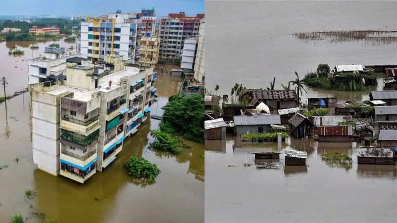 Sydney floods: సిడ్నీని ముంచెత్తిన వరదలు.. నీటమునిగిన ఇండ్లు Sydney floods: సిడ్నీని ముంచెత్తిన వరదలు.. నీటమునిగిన ఇండ్లు