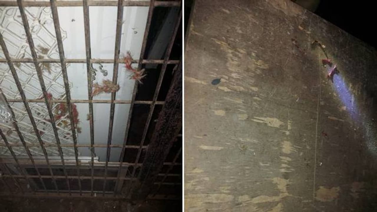 കോഴിക്കോട് കടയിലേക്ക് സ്ഫോടക വസ്തു എറിഞ്ഞു, ഏറുപടക്കമെന്ന് പൊലീസ് കോഴിക്കോട് കടയിലേക്ക് സ്ഫോടക വസ്തു എറിഞ്ഞു, ഏറുപടക്കമെന്ന് പൊലീസ്