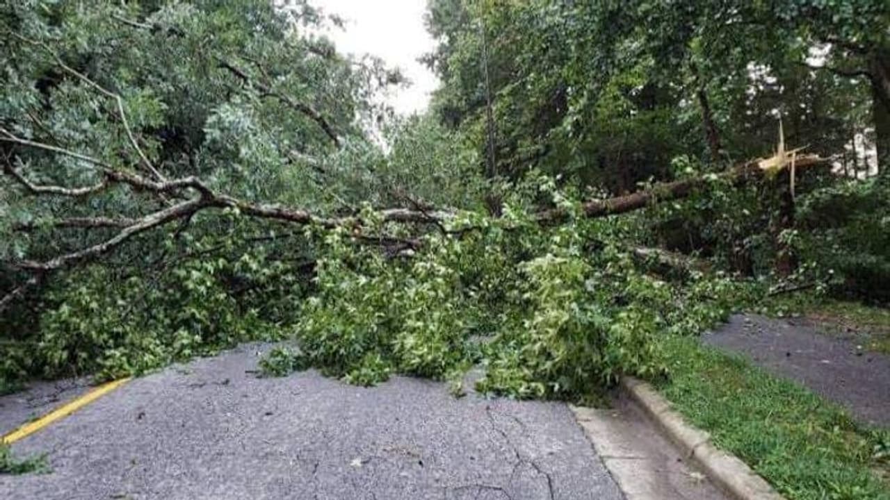 കാലവര്ഷ കെടുതിയില് ഇടുക്കിയില് രണ്ട് ദിവസങ്ങളിലായി മരിച്ചത് അഞ്ച് പേര് കാലവര്ഷ കെടുതിയില് ഇടുക്കിയില് രണ്ട് ദിവസങ്ങളിലായി മരിച്ചത് അഞ്ച് പേര്