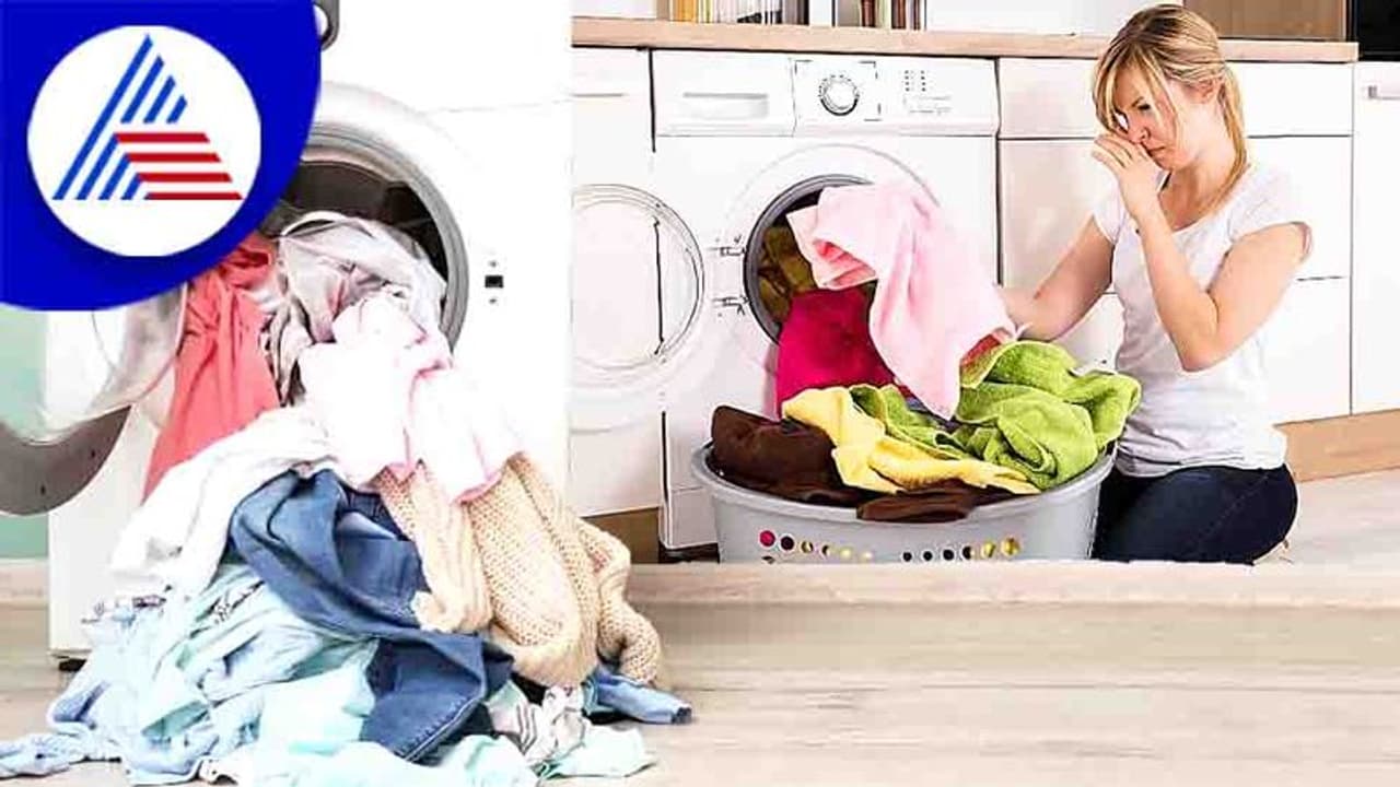 Smell from Clothes: ಮಳೆಗಾಲದಲ್ಲಿ ಬಟ್ಟೆಯ ಮುಗ್ಗುಲು ವಾಸನೆ ದೂರವಿಡಲು ಹೀಗ್ಮಾಡಿ Smell from Clothes: ಮಳೆಗಾಲದಲ್ಲಿ ಬಟ್ಟೆಯ ಮುಗ್ಗುಲು ವಾಸನೆ ದೂರವಿಡಲು ಹೀಗ್ಮಾಡಿ