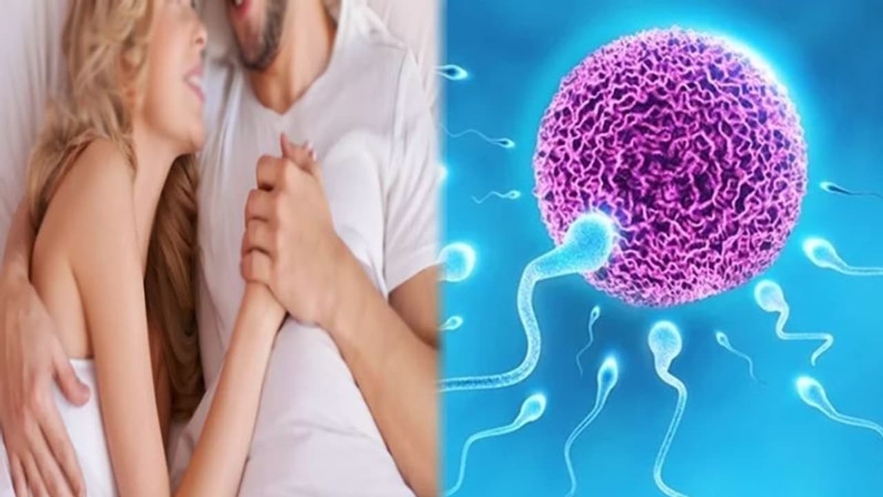 पापा बनना है तो हो जाइए सावधान, इन चीजों से परहेज नहीं किया तो बेकार हो जाएगा स्पर्म पापा बनना है तो हो जाइए सावधान, इन चीजों से परहेज नहीं किया तो बेकार हो जाएगा स्पर्म