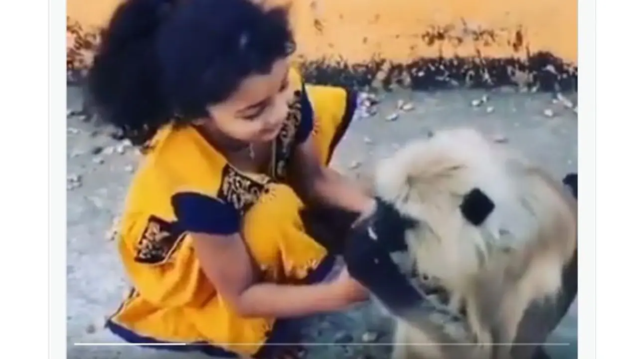 ಮಗುವನ್ನು ಕಸಿಯಲೆತ್ನಿಸಿದ ಬಾಲಕಿ: ತಾಯಿ ಕೋತಿಯ ರಿಯಾಕ್ಷನ್ ನೋಡಿ