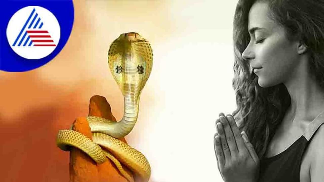 Nag Panchami: ಇಷ್ಟಾರ್ಥ ಈಡೇರ್ಬೇಕಂದ್ರೆ ನಾಗರ ಪಂಚಮಿ ಹೀಗ್ ಆಚರಿಸಿ Nag Panchami: ಇಷ್ಟಾರ್ಥ ಈಡೇರ್ಬೇಕಂದ್ರೆ ನಾಗರ ಪಂಚಮಿ ಹೀಗ್ ಆಚರಿಸಿ
