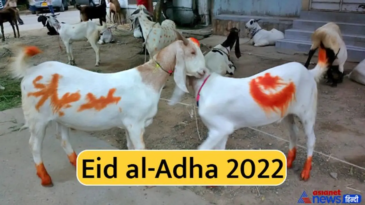 Bakrid 2022: कुर्बानी का संदेश देता है बकरीद का त्योहार, जानिए इस बार कब मनाया जाएगा ये पर्व? Bakrid 2022: कुर्बानी का संदेश देता है बकरीद का त्योहार, जानिए इस बार कब मनाया जाएगा ये पर्व?