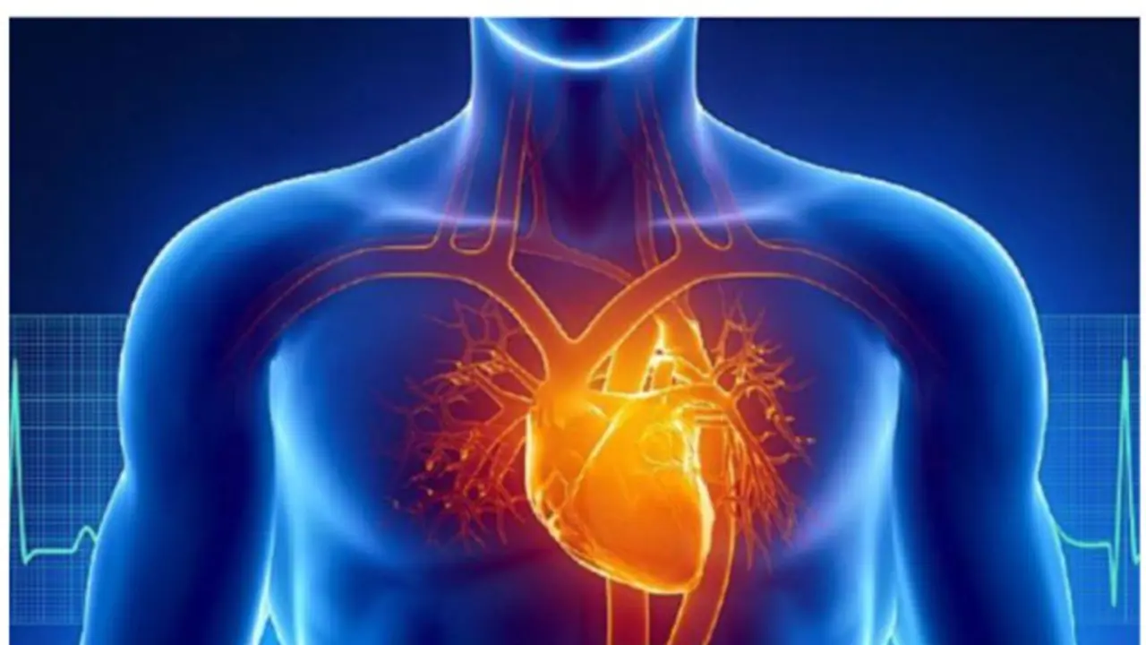 Why do young people have cardiovascular diseases? Read this carefully Why do young people have cardiovascular diseases? Read this carefully