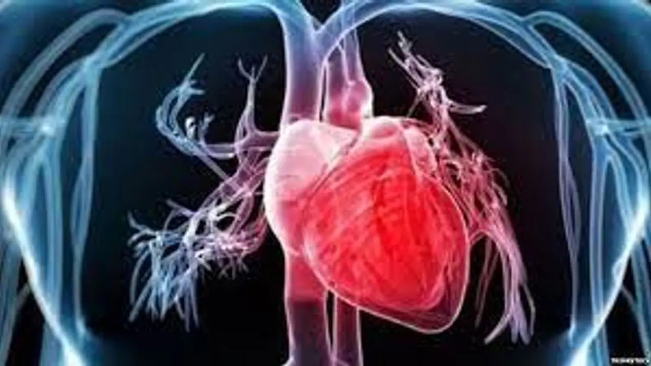 আপনার হার্ট কতটা সুস্থ, ঘরে বসেই জেনে নিন এই পরীক্ষার মাধ্যমে আপনার হার্ট কতটা সুস্থ, ঘরে বসেই জেনে নিন এই পরীক্ষার মাধ্যমে