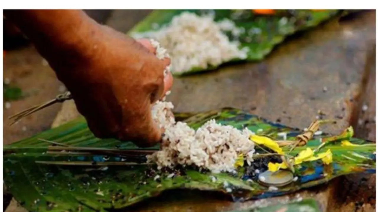 കർക്കിടക വാവുബലി: ബലിതർപ്പണം നടത്തി വിശ്വാസികൾ; ഉച്ചവരെ തുടരും കർക്കിടക വാവുബലി: ബലിതർപ്പണം നടത്തി വിശ്വാസികൾ; ഉച്ചവരെ തുടരും