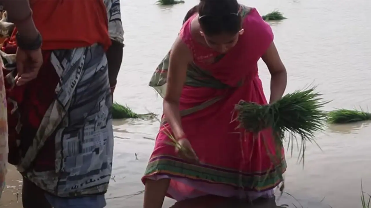 Union Budget 2024: వ్యవసాయానికి రూ.1.52లక్షల కోట్లు, ఆర్గానిక్ ఫామింగ్ పై స్పెషల్ ఫోకస్..! Union Budget 2024: వ్యవసాయానికి రూ.1.52లక్షల కోట్లు, ఆర్గానిక్ ఫామింగ్ పై స్పెషల్ ఫోకస్..!