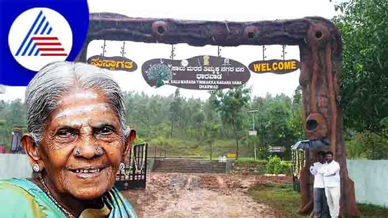 ಕರ್ನಾಟಕ ಪರಿಸರ ಇಲಾಖೆಗೆ ಸಾಲು ಮರದ ತಿಮ್ಮಕ್ಕ ರಾಯಭಾರಿ: ಆದೇಶ ಹೊರಡಿಸಿದ ಸರ್ಕಾರ