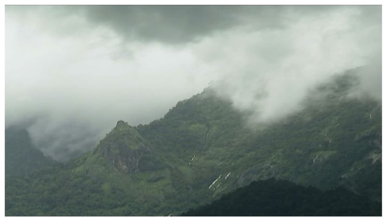  ബഫർ സോൺ: 2019 ലെ ഉത്തരവ് തിരുത്തി മന്ത്രിസഭ 