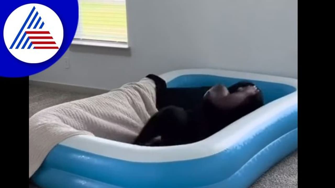 ಹೆಂಡ್ತಿ ಮೇಲೆ ಹಿಂಗಾ ಸೇಡು ತೀರ್ಸೋದು... ವಿಡಿಯೋ ನೋಡಿ