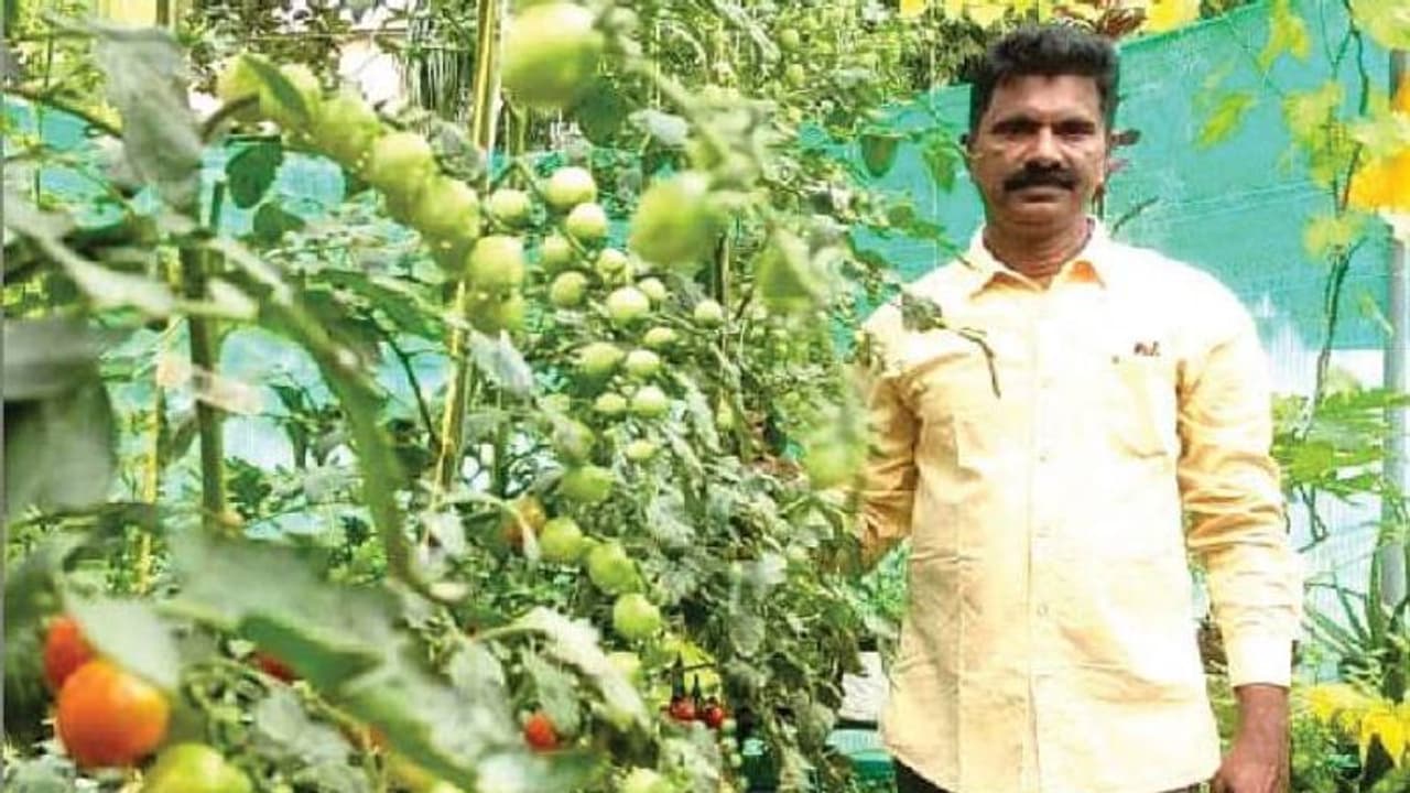 ഹൈഡ്രോപോണിക് ഫാമിംഗ്, മണ്ണില്ലാതെ കൃഷി ചെയ്ത് ആലപ്പുഴയിലെ ഹരിഹരൻ നാണു ഹൈഡ്രോപോണിക് ഫാമിംഗ്, മണ്ണില്ലാതെ കൃഷി ചെയ്ത് ആലപ്പുഴയിലെ ഹരിഹരൻ നാണു