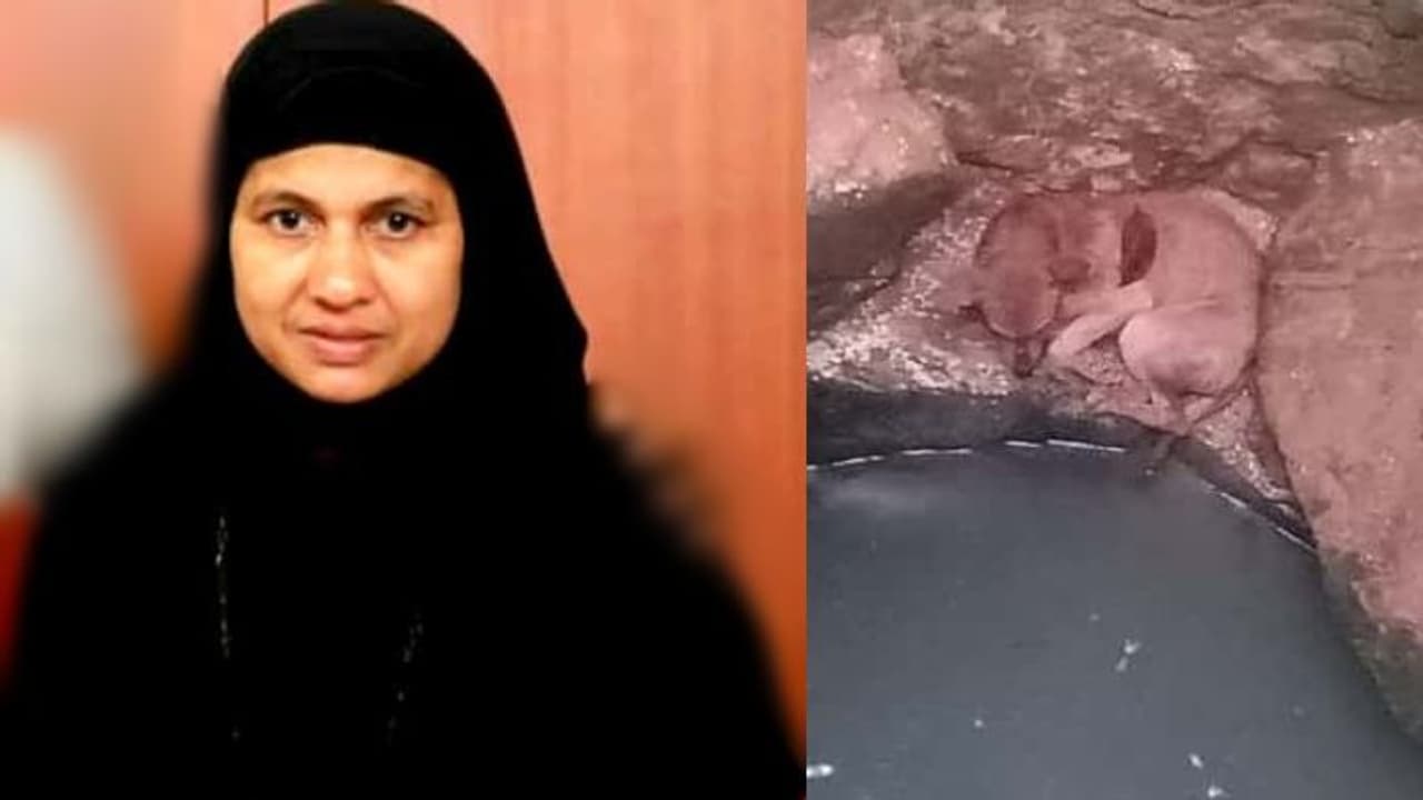 ആൾമറയില്ലാത്ത കിണറ്റിൽ വീണ തെരുവുനായയ്ക്ക് ഭക്ഷണം നൽകി രക്ഷയേകി നഫീസ ആൾമറയില്ലാത്ത കിണറ്റിൽ വീണ തെരുവുനായയ്ക്ക് ഭക്ഷണം നൽകി രക്ഷയേകി നഫീസ