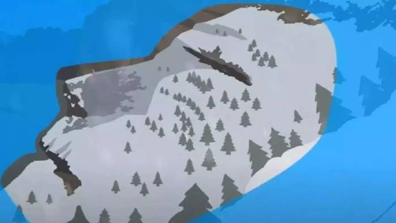 ചിത്രത്തിൽ ആദ്യം കാണുന്നതെന്ത്? ഇതാണോ നിങ്ങളുടെ സ്വഭാവം? 