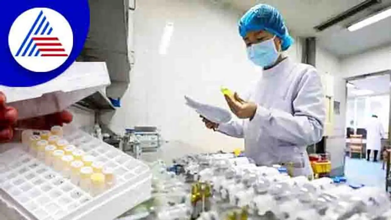 ಎಬೋಲಾ ರೀತಿ ಅತ್ಯಂತ ಅಪಾಯಕಾರಿ, ಸಾಂಕ್ರಾಮಿಕ ಮಾರ್ಬರ್ಗ್ ವೈರಸ್ ಪತ್ತೆ, ಘಾನಾದಲ್ಲಿ 2 ಸಾವು! ಎಬೋಲಾ ರೀತಿ ಅತ್ಯಂತ ಅಪಾಯಕಾರಿ, ಸಾಂಕ್ರಾಮಿಕ ಮಾರ್ಬರ್ಗ್ ವೈರಸ್ ಪತ್ತೆ, ಘಾನಾದಲ್ಲಿ 2 ಸಾವು!