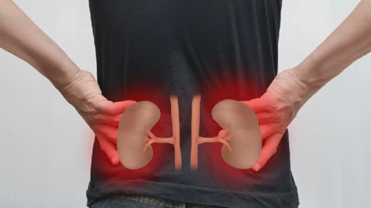 വൃക്കയെ ബാധിക്കുന്ന അസുഖങ്ങളെ അകറ്റാൻ ചെയ്യേണ്ടത്...