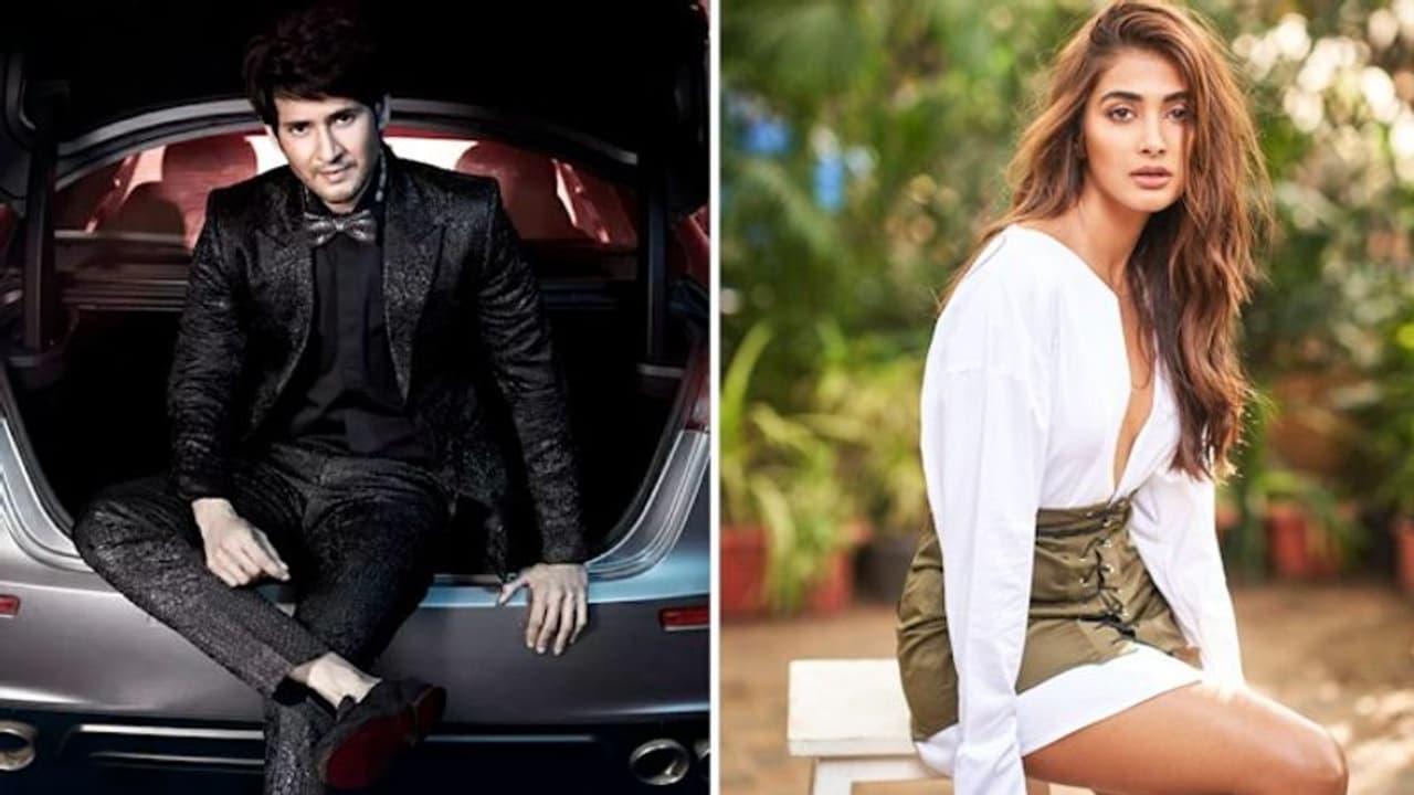 Mahesh Babu to romance Pooja Hegde in Trivikram Srinivas’s next?