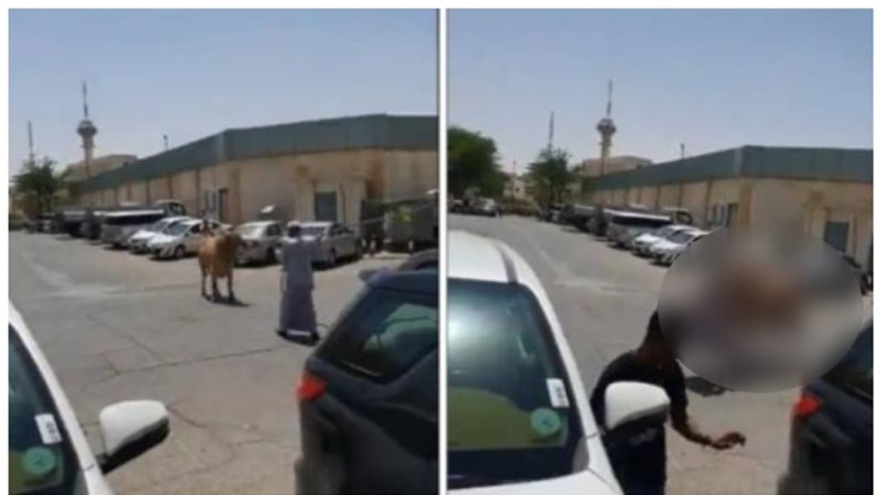 സൗദിയില് കാളയുടെ കുത്തേറ്റ് യുവാവിന് പരിക്ക് സൗദിയില് കാളയുടെ കുത്തേറ്റ് യുവാവിന് പരിക്ക്