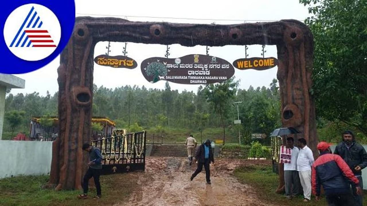 ಧಾರವಾಡ: ನವಲೂರಿನಲ್ಲಿ ಸಾಲು ಮರದ ತಿಮ್ಮಕ್ಕ ಹೆಸರಿನ ನಗರವನ..!