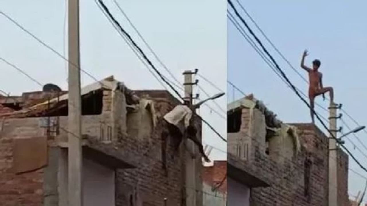 हरदोई: नशे में धुत युवकों ने बिजली के तार को बनाया झूला, पूरे मोहल्ले को घंटों तक झेलनी पड़ गई समस्या हरदोई: नशे में धुत युवकों ने बिजली के तार को बनाया झूला, पूरे मोहल्ले को घंटों तक झेलनी पड़ गई समस्या