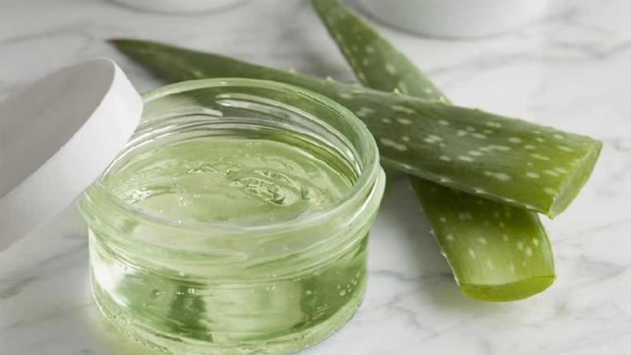 Skin care tips: बाजार के महंगे एलोवेरा जेल को छोड़ घर में बनाएं स्किन से लेकर हेयर केयर प्रोडक्ट Skin care tips: बाजार के महंगे एलोवेरा जेल को छोड़ घर में बनाएं स्किन से लेकर हेयर केयर प्रोडक्ट