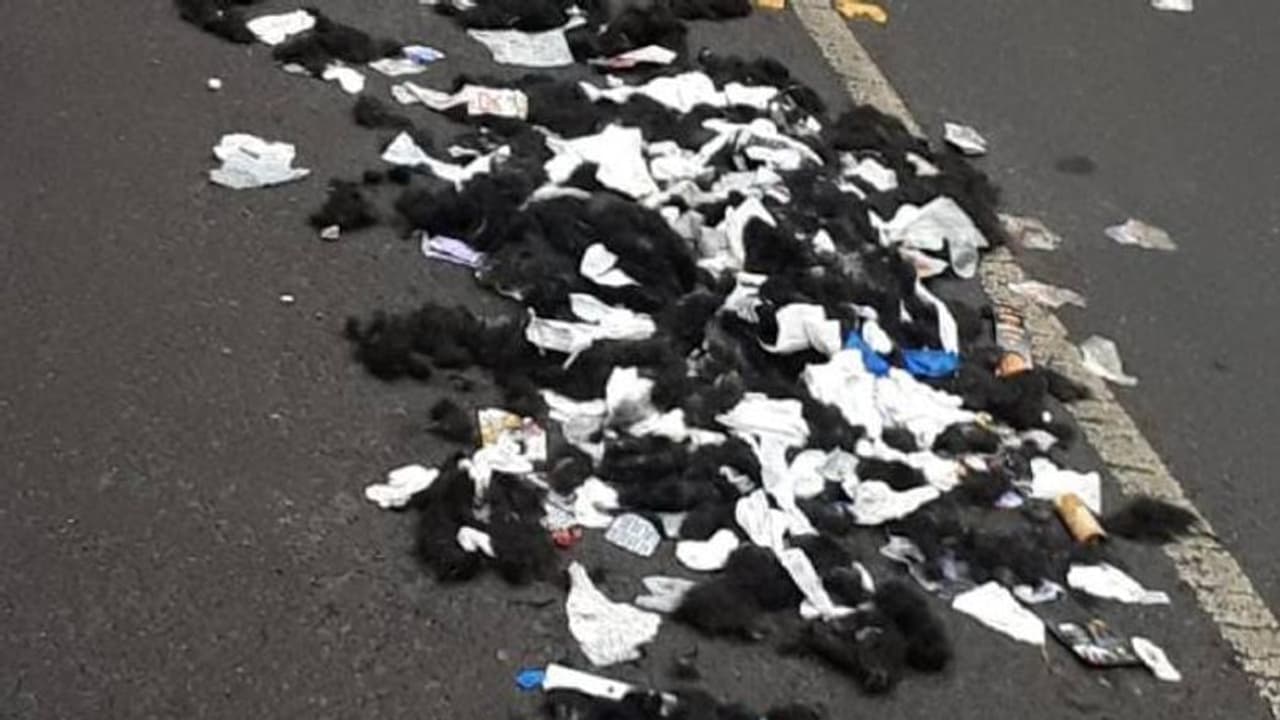 ബാർബർ ഷോപ്പിലെ മുടി മാലിന്യം നടുറോഡിൽ, സാമൂഹ്യവിരുദ്ധരെ കണ്ടെത്തണമെന്ന് നാട്ടുകാർ ബാർബർ ഷോപ്പിലെ മുടി മാലിന്യം നടുറോഡിൽ, സാമൂഹ്യവിരുദ്ധരെ കണ്ടെത്തണമെന്ന് നാട്ടുകാർ