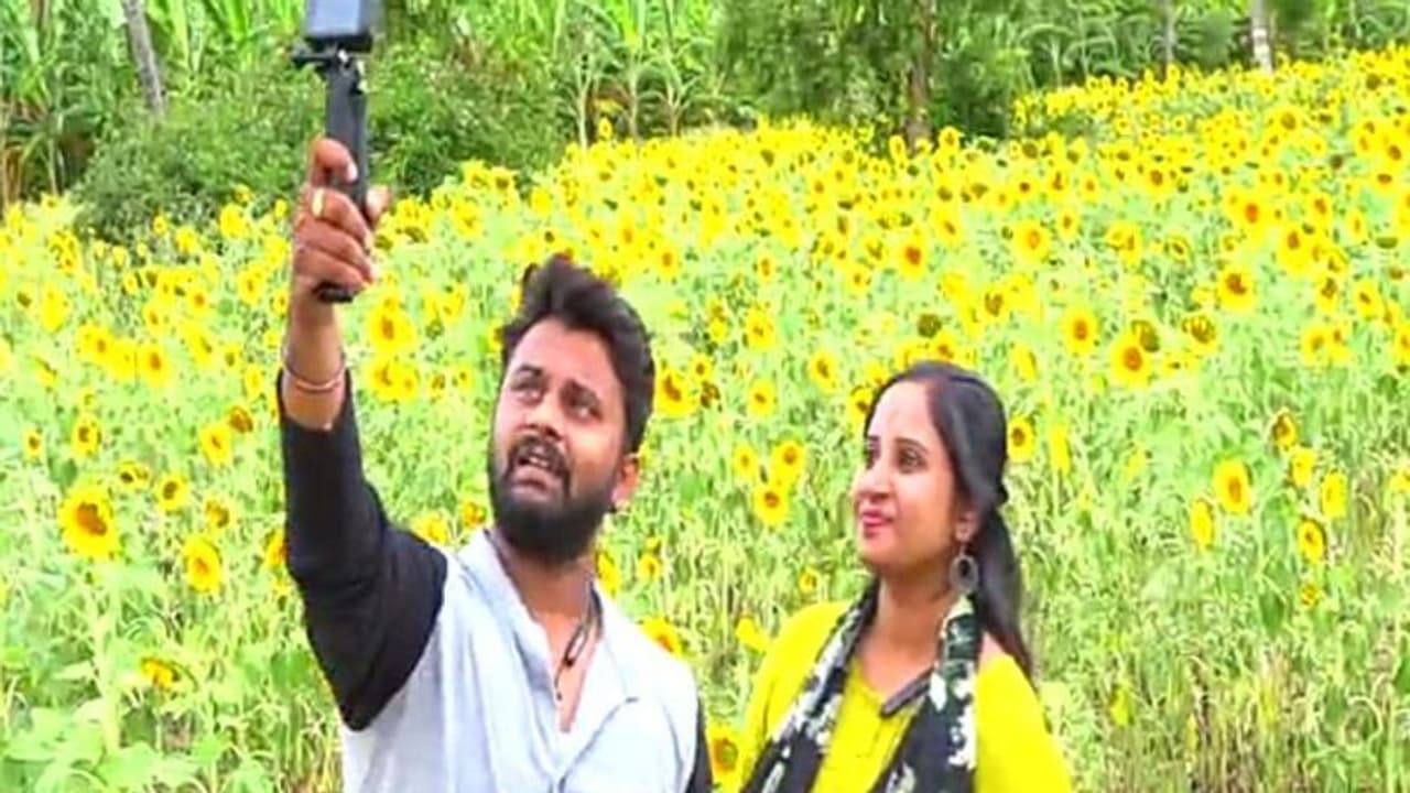 ಸೆಲ್ಪಿಗಾಗಿ ಸೂರ್ಯಕಾಂತಿಗೆ ಮುಗಿಬಿದ್ದ ಜನ, ಲಾಸ್ ತುಂಬಿಕೊಳ್ಳಲು ರೈತರ ಹೊಸ ಐಡಿಯಾ ಸೆಲ್ಪಿಗಾಗಿ ಸೂರ್ಯಕಾಂತಿಗೆ ಮುಗಿಬಿದ್ದ ಜನ, ಲಾಸ್ ತುಂಬಿಕೊಳ್ಳಲು ರೈತರ ಹೊಸ ಐಡಿಯಾ