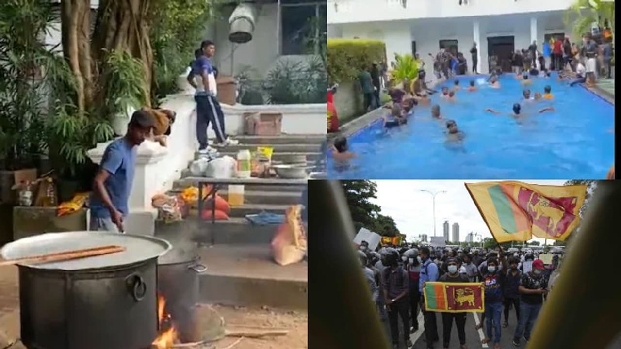 അക്രമം ഇല്ല കൊള്ളയില്ല; മണിമാളികകളിൽ പാചകവും കളികളും ആഘോഷവുമായി ലങ്കന് പ്രക്ഷോഭകാരികള് അക്രമം ഇല്ല കൊള്ളയില്ല; മണിമാളികകളിൽ പാചകവും കളികളും ആഘോഷവുമായി ലങ്കന് പ്രക്ഷോഭകാരികള്