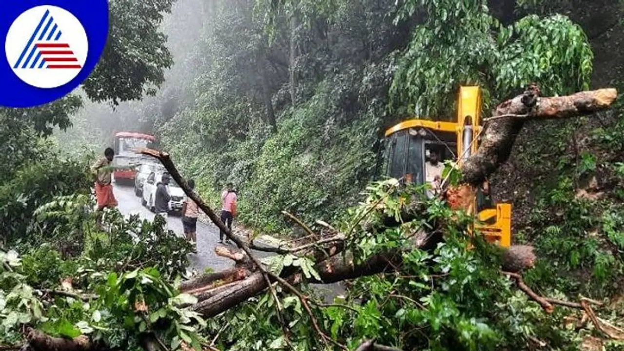 ಶಿರಾಡಿ, ಚಾರ್ಮಾಡಿ ಘಾಟ್ ಮತ್ತೆ ಭೂಕುಸಿತ: ಸಂಚಾರ ಬಂದ್ ಭೀತಿ ಶಿರಾಡಿ, ಚಾರ್ಮಾಡಿ ಘಾಟ್ ಮತ್ತೆ ಭೂಕುಸಿತ: ಸಂಚಾರ ಬಂದ್ ಭೀತಿ