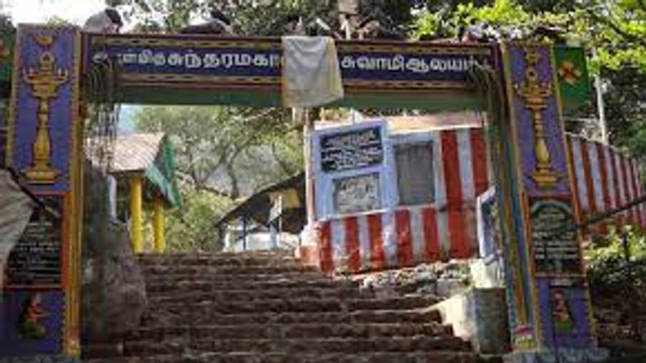 பக்தர்களே முக்கிய செய்தி.. ஆடி பெளர்ணமி சதுரகிரி மலைக்கோயிலுக்கு செல்ல அனுமதி..? வனத்துறை அறிவிப்பு.. பக்தர்களே முக்கிய செய்தி.. ஆடி பெளர்ணமி சதுரகிரி மலைக்கோயிலுக்கு செல்ல அனுமதி..? வனத்துறை அறிவிப்பு..
