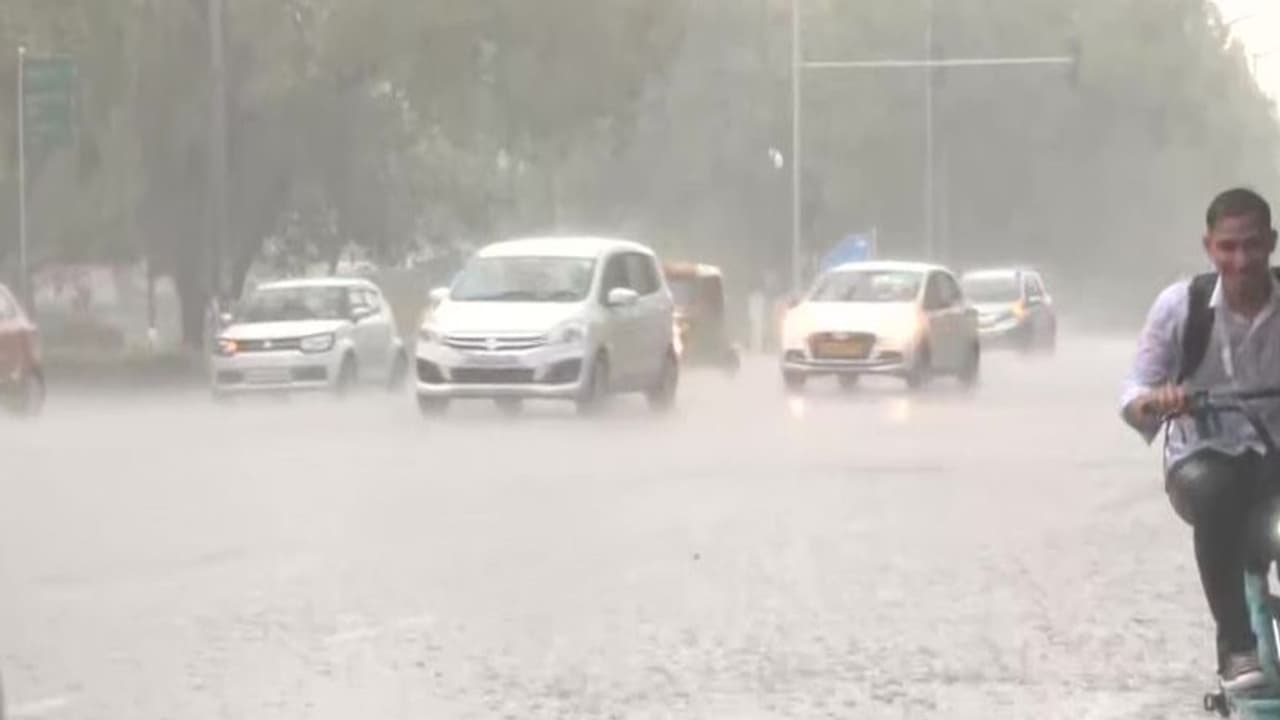 राजस्थान के दो दिनों तक भारी बारिश का अलर्ट जारी, जानें आपके जिले का क्या है मौसम अपडेट राजस्थान के दो दिनों तक भारी बारिश का अलर्ट जारी, जानें आपके जिले का क्या है मौसम अपडेट