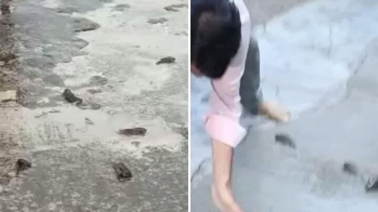 തെലുങ്കാനയില്‍ മൃഗമഴ, ആകാശത്തുനിന്നും വീണത് തവളയും ഞണ്ടും മീനുകളും! 