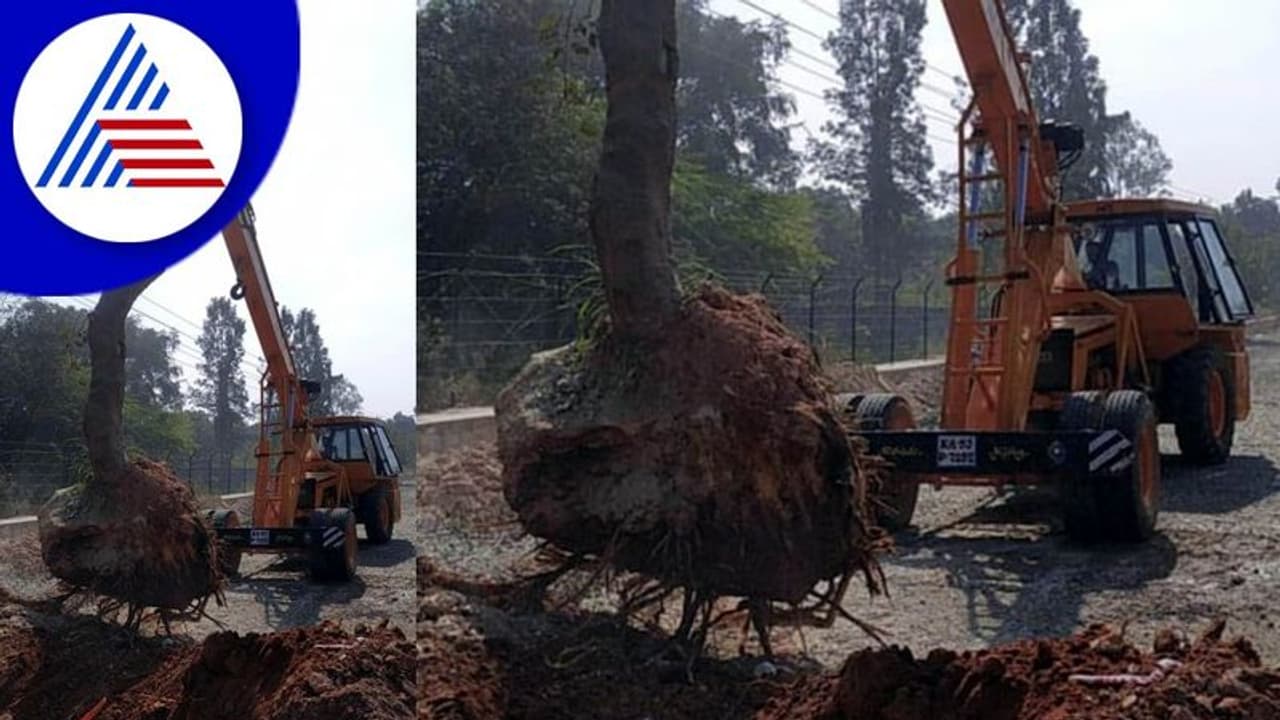 ಹೆದ್ದಾರಿಯಲ್ಲಿ ಮರ ಕಡಿಯುವ ಬದಲು ಸ್ಥಳಾಂತರ: ಸಚಿವ ಸಿ.ಸಿ.ಪಾಟೀಲ್ ಸೂಚನೆ ಹೆದ್ದಾರಿಯಲ್ಲಿ ಮರ ಕಡಿಯುವ ಬದಲು ಸ್ಥಳಾಂತರ: ಸಚಿವ ಸಿ.ಸಿ.ಪಾಟೀಲ್ ಸೂಚನೆ