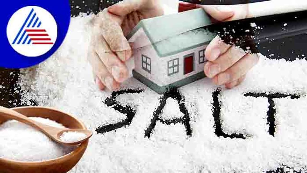 ನೆಮ್ಮದಿಯೇ ಇಲ್ಲವೆಂದರೆ ಈ ವಸ್ತು ತನ್ನಿ, ಪಾಸಿಟಿವ್ ವೈಬ್ಸ್ ಸೃಷ್ಟಿಯಾಗುತ್ತೆ! ನೆಮ್ಮದಿಯೇ ಇಲ್ಲವೆಂದರೆ ಈ ವಸ್ತು ತನ್ನಿ, ಪಾಸಿಟಿವ್ ವೈಬ್ಸ್ ಸೃಷ್ಟಿಯಾಗುತ್ತೆ!