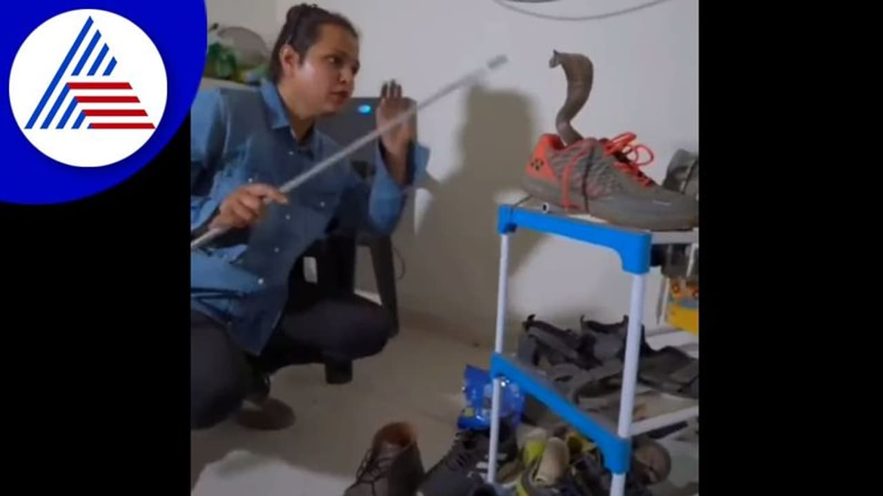 ಎಚ್ಚರ ಎಚ್ಚರ : ಸುರಿಯುವ ಮಳೆಗೆ ಶೂ ಒಳಗೆ ಬೆಚ್ಚಗೆ ಮಲಗಿದ ನಾಗರಹಾವು