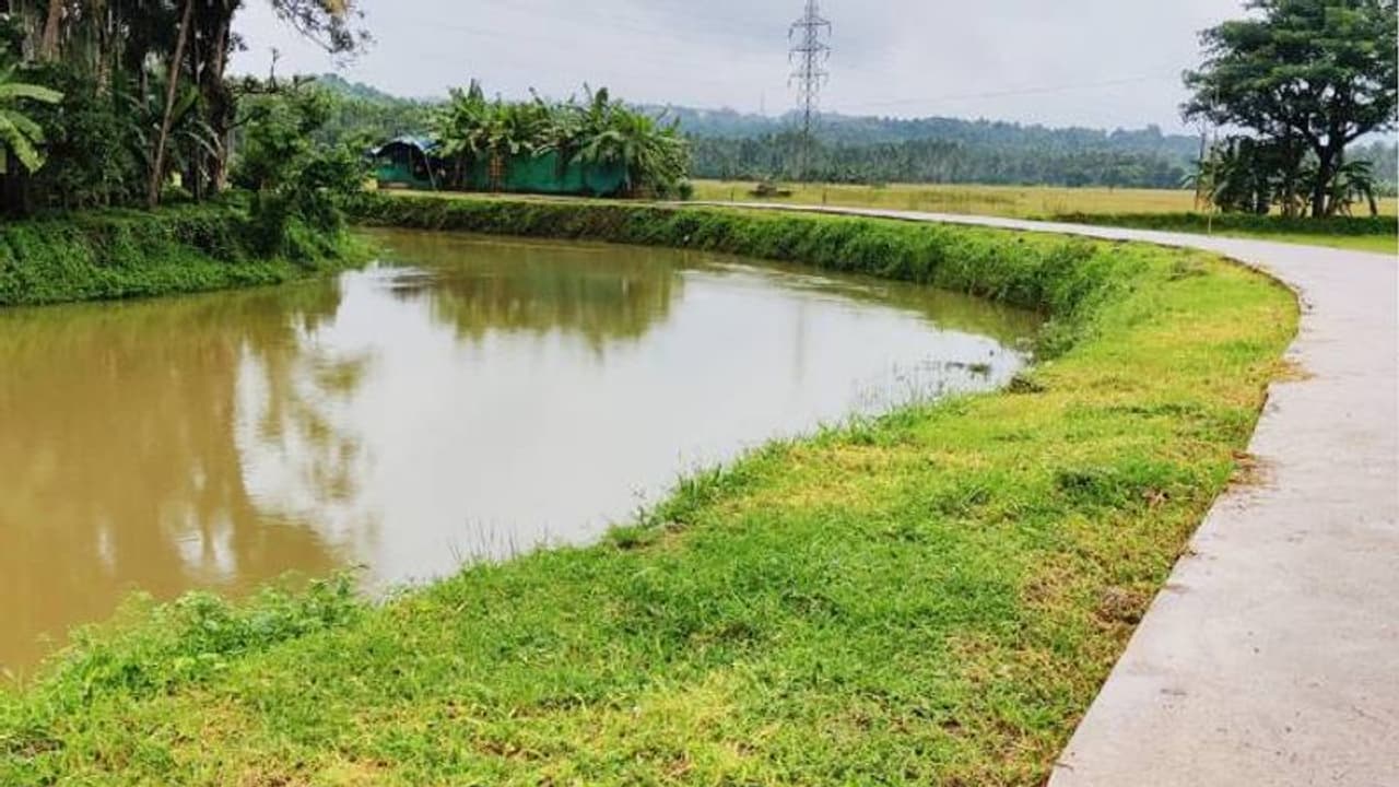 സഞ്ചാരികളുടെ പ്രിയ ഇടമായി ചൊവ്വാണ പുഴയോട് ചേര്ന്നുള്ള പാതയോരം സഞ്ചാരികളുടെ പ്രിയ ഇടമായി ചൊവ്വാണ പുഴയോട് ചേര്ന്നുള്ള പാതയോരം