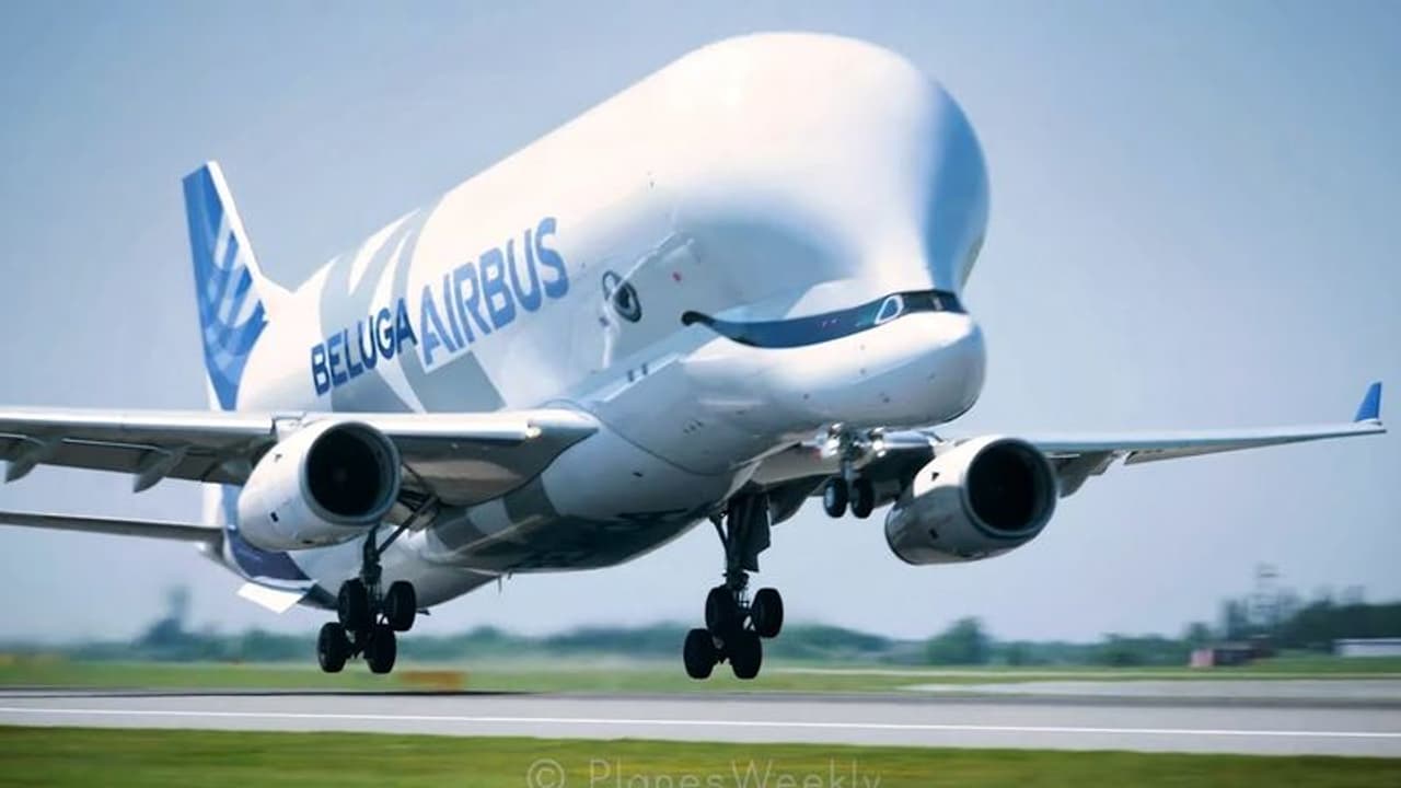 beluga airbus: விமானத்தையே தூக்கிச் செல்லும் திமிங்கல பெலுகா ஏர்பஸ் விமானம்: சென்னை விமானநிலையம் வந்தது ஏன்?