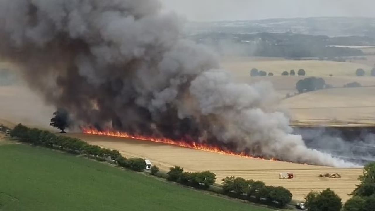  40 ಡಿ.ಸೆ ಉಷ್ಣಾಂಶಕ್ಕೆ ತತ್ತರಿಸಿದ ಬ್ರಿಟನ್‌: 13 ಮಂದಿ ಸಾವು