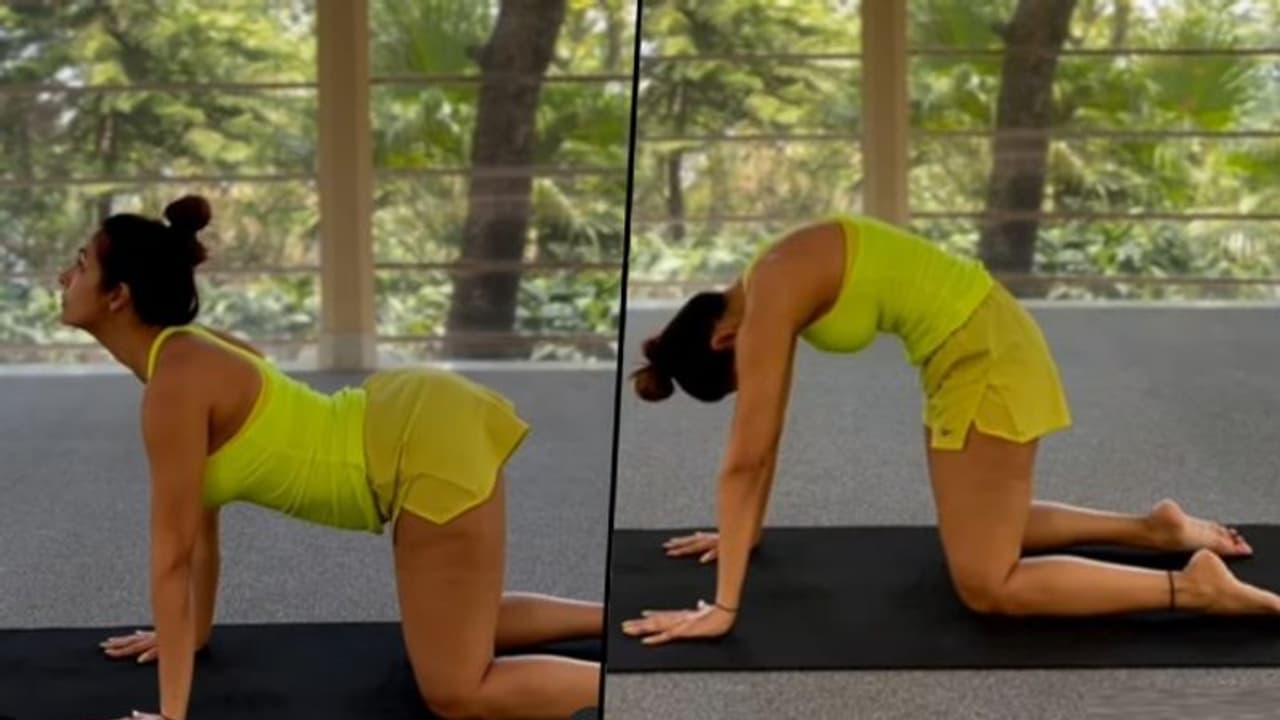 Video: Here's how Malaika Arora reduces her emotional stress Video: Here's how Malaika Arora reduces her emotional stress