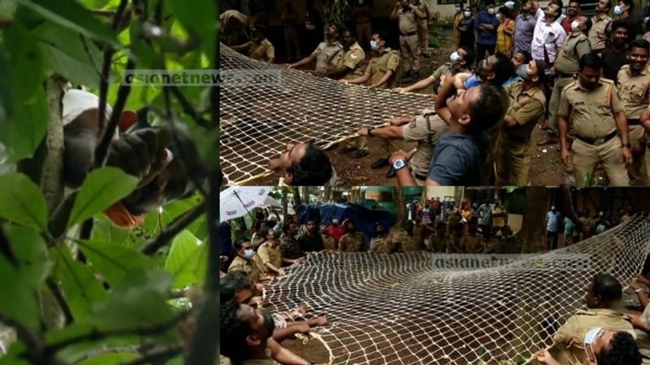 സെൻട്രൽ ജയിൽ ചാടിയ പ്രതി മരത്തിന് മുകളിൽ, ആത്മഹത്യാ ഭീഷണി, താഴെയിറക്കാൻ ശ്രമം സെൻട്രൽ ജയിൽ ചാടിയ പ്രതി മരത്തിന് മുകളിൽ, ആത്മഹത്യാ ഭീഷണി, താഴെയിറക്കാൻ ശ്രമം