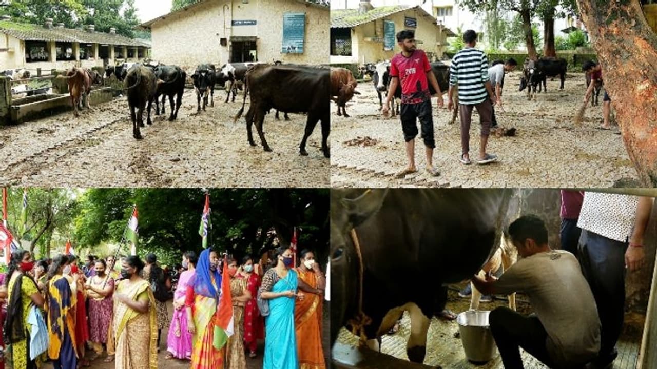 തൃശ്ശൂര് വെറ്റിനറി സര്വ്വകലാശാലയിലെ തൊഴിലാളി സമരം ഒത്തുതീര്പ്പായി: മൃഗങ്ങളുടെ നരകയാതനയ്ക്ക് അവസാനം തൃശ്ശൂര് വെറ്റിനറി സര്വ്വകലാശാലയിലെ തൊഴിലാളി സമരം ഒത്തുതീര്പ്പായി: മൃഗങ്ങളുടെ നരകയാതനയ്ക്ക് അവസാനം