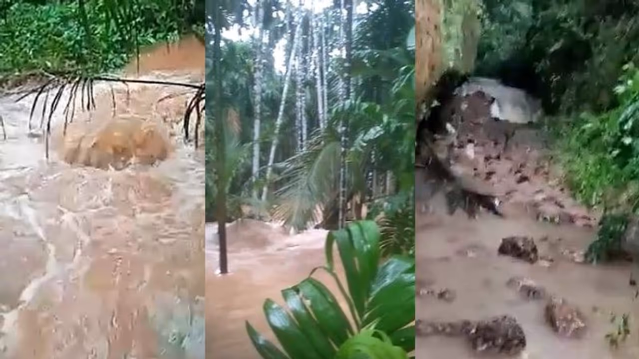 ‘അത്ഭുത പ്രതിഭാസം’: വെള്ളം കനത്ത് ഒഴുകിക്കൊണ്ടിരുന്ന തോട്ടില് പെട്ടെന്ന് വെള്ളമില്ലതായി.! ‘അത്ഭുത പ്രതിഭാസം’: വെള്ളം കനത്ത് ഒഴുകിക്കൊണ്ടിരുന്ന തോട്ടില് പെട്ടെന്ന് വെള്ളമില്ലതായി.!