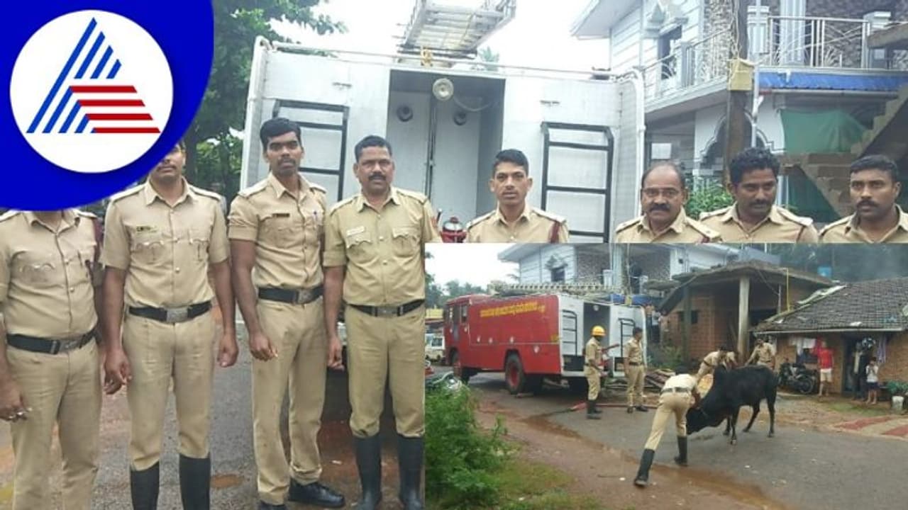 Shivamogga ನೀರಿನ ಸಂಪಿನಲ್ಲಿ ಬಿದ್ದಿದ ಗೂಳಿಯ ರಕ್ಷಣೆ 